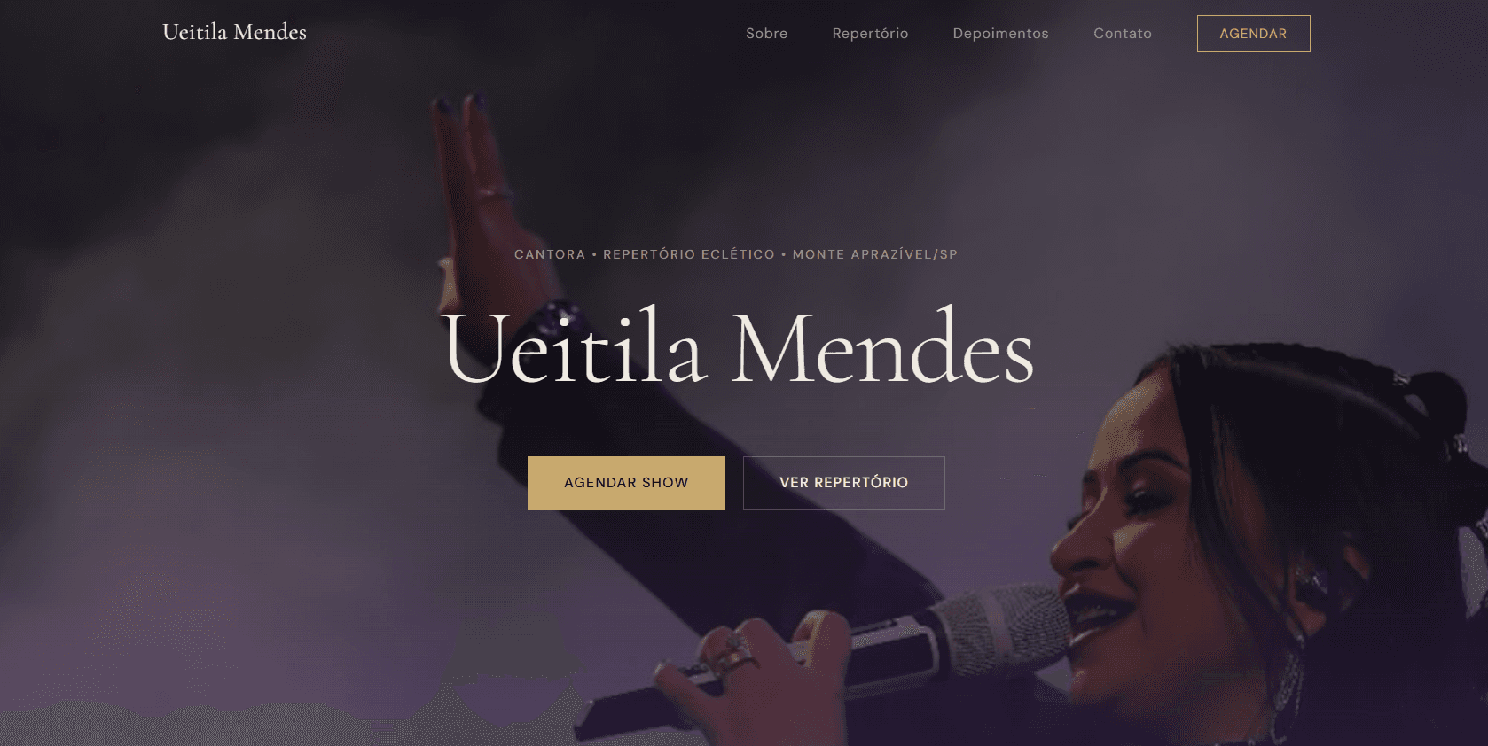 Hero da landing page — visão geral do serviço