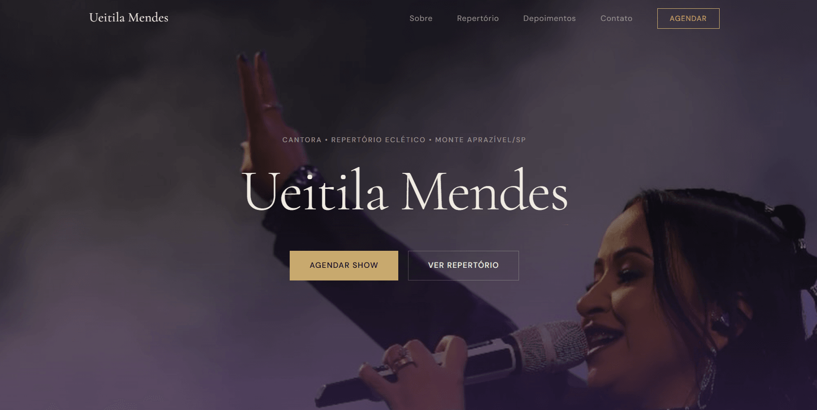 Hero da landing page — visão geral do serviço
